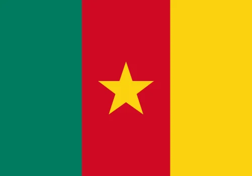 flag-cameroon